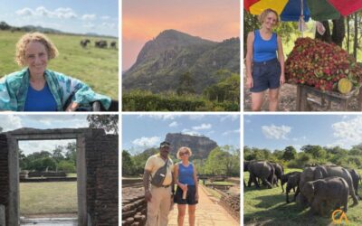 Chilli, Elephants and Leadership